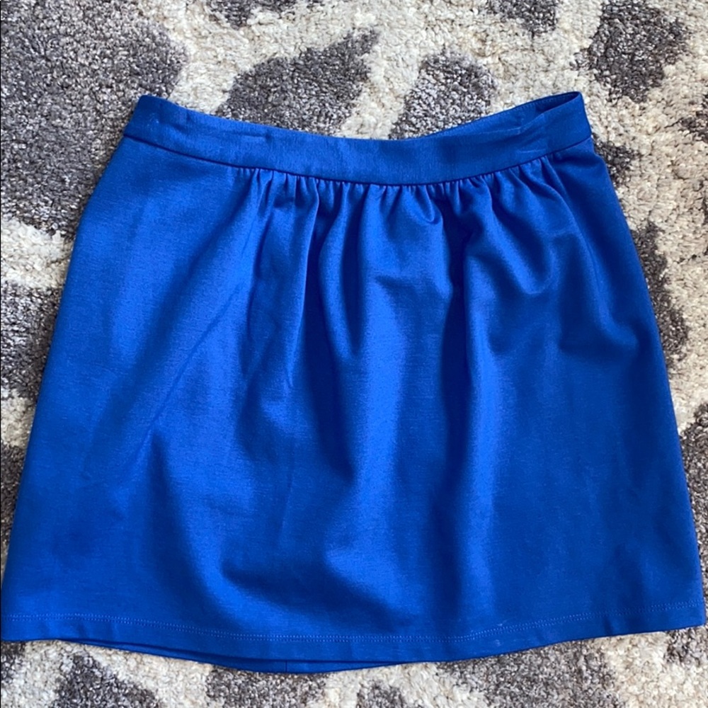 Perfect Condition J Crew Skirt